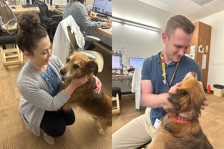 Two pictures of medical physics residents getting attention from a dog